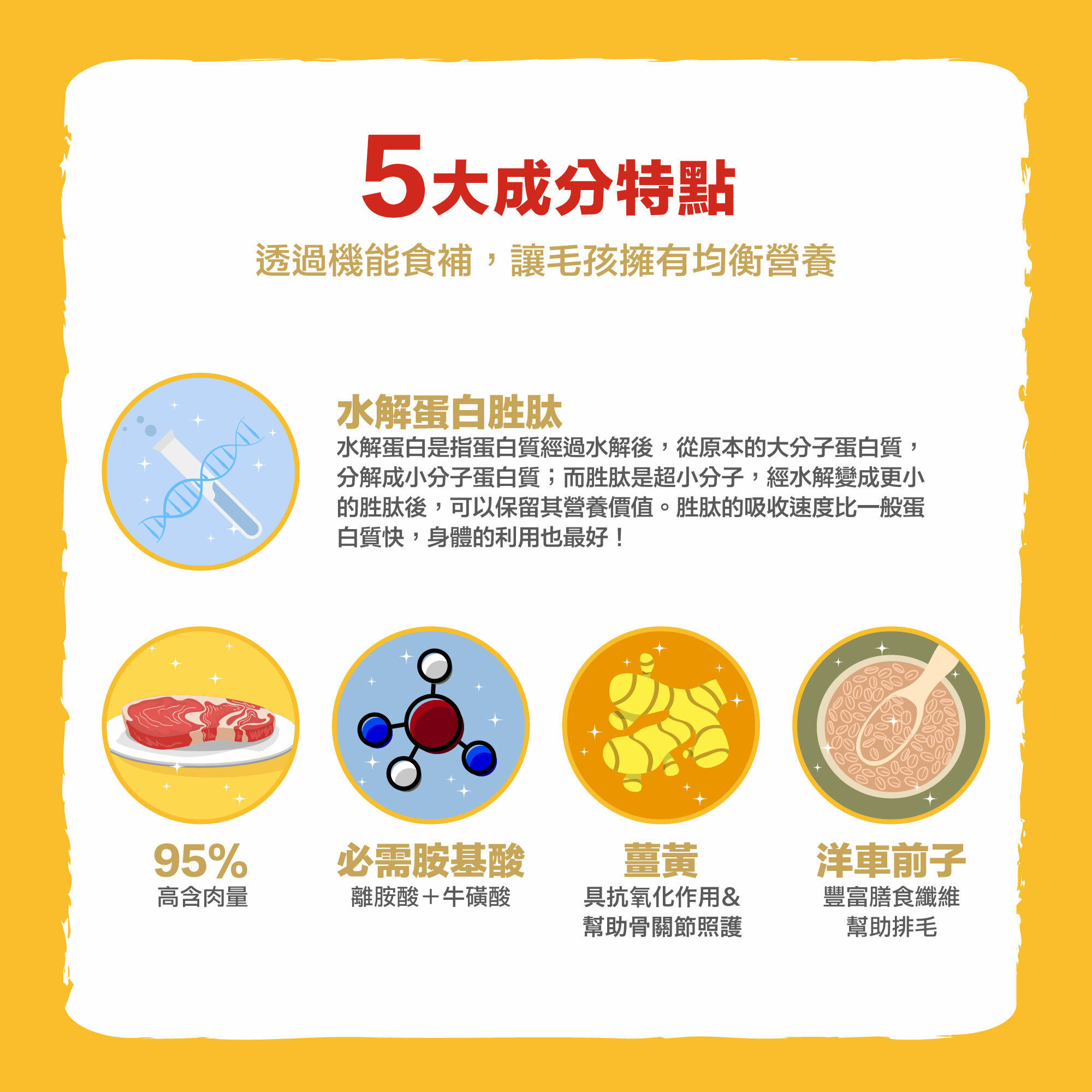 5️⃣大成分特點 ◆#水解蛋白胜肽 ◆95%高含肉量◆必需胺基酸:#離胺酸+#牛磺酸 ◆洋車前子:#豐富膳食纖維 幫助排毛◆薑黃:具抗氧化作用&幫助 #骨關節照護 #透過機能食材讓毛孩擁有均衡營養