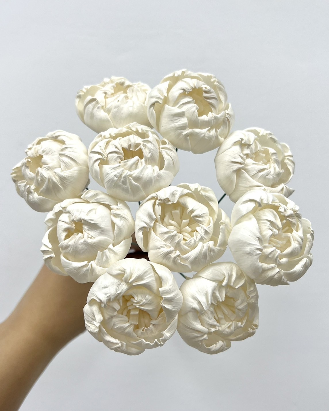 泰國索拉花 牡丹 (白心) 5CM <十支一把> (高品質)