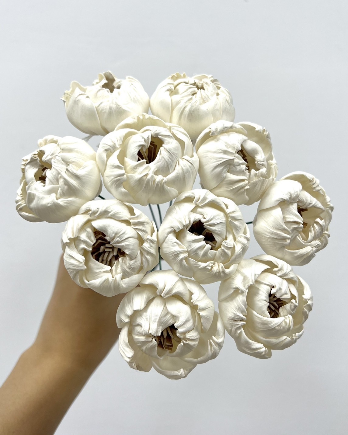 泰國索拉花 牡丹 (咖啡心) 5CM <十支一把> (高品質)