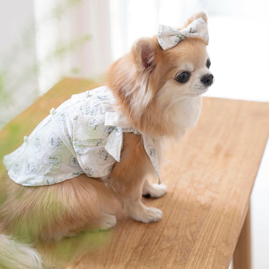 OPAAAP  愛心髮夾