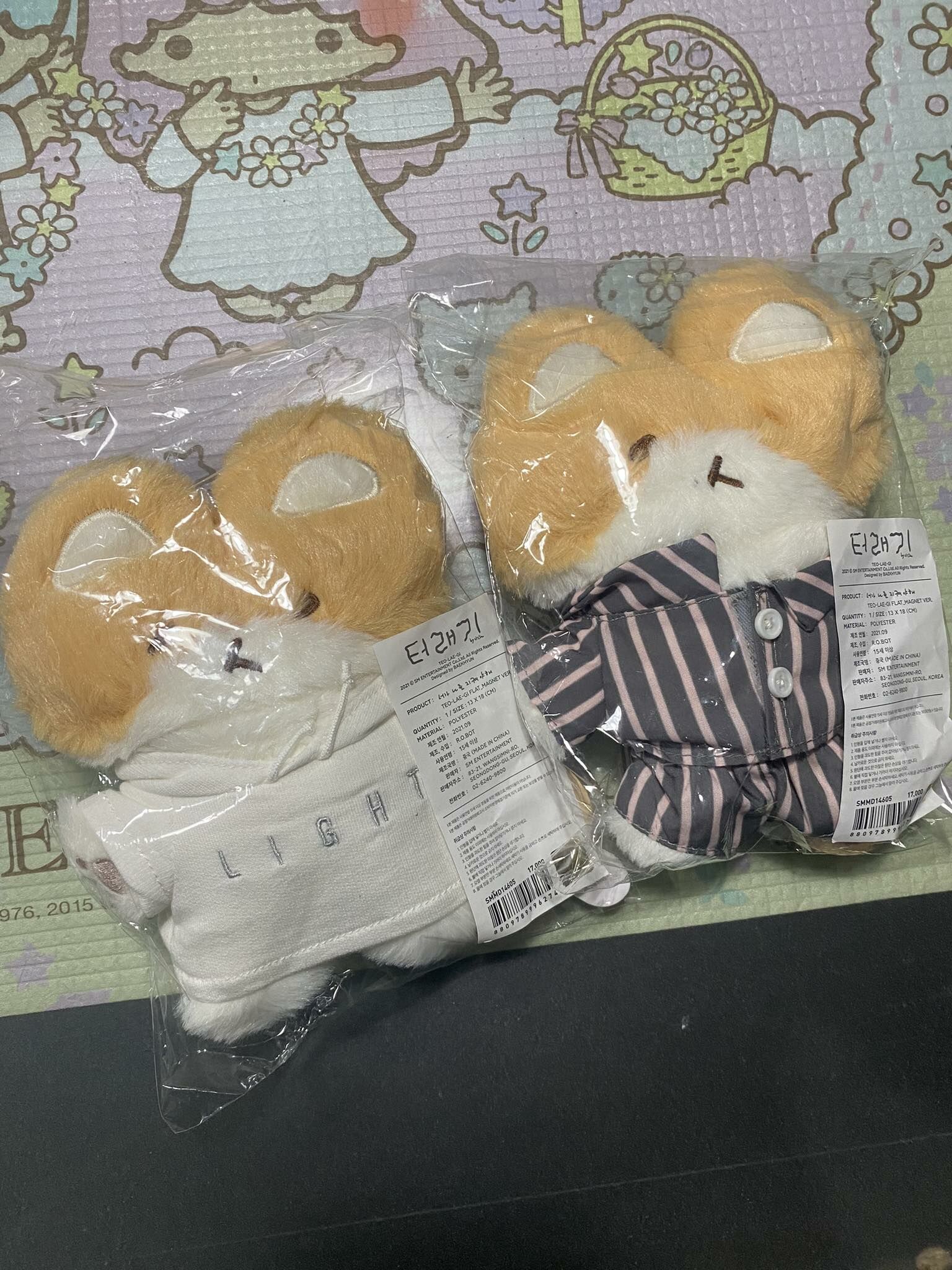 [ONHAND] TEOLAEGI Flag Magnet ver.