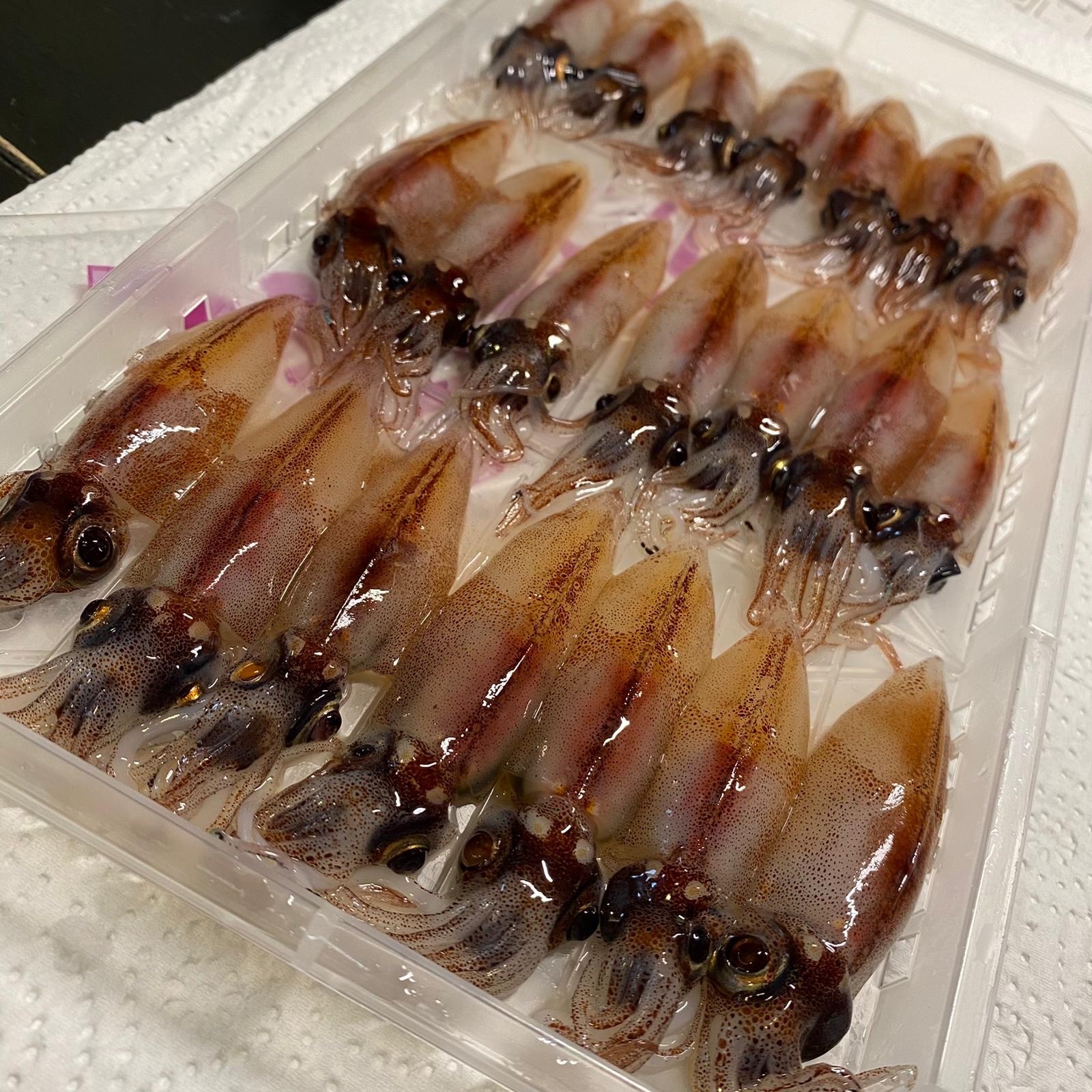 富山灣螢光魷魚（生）約300g/盒
