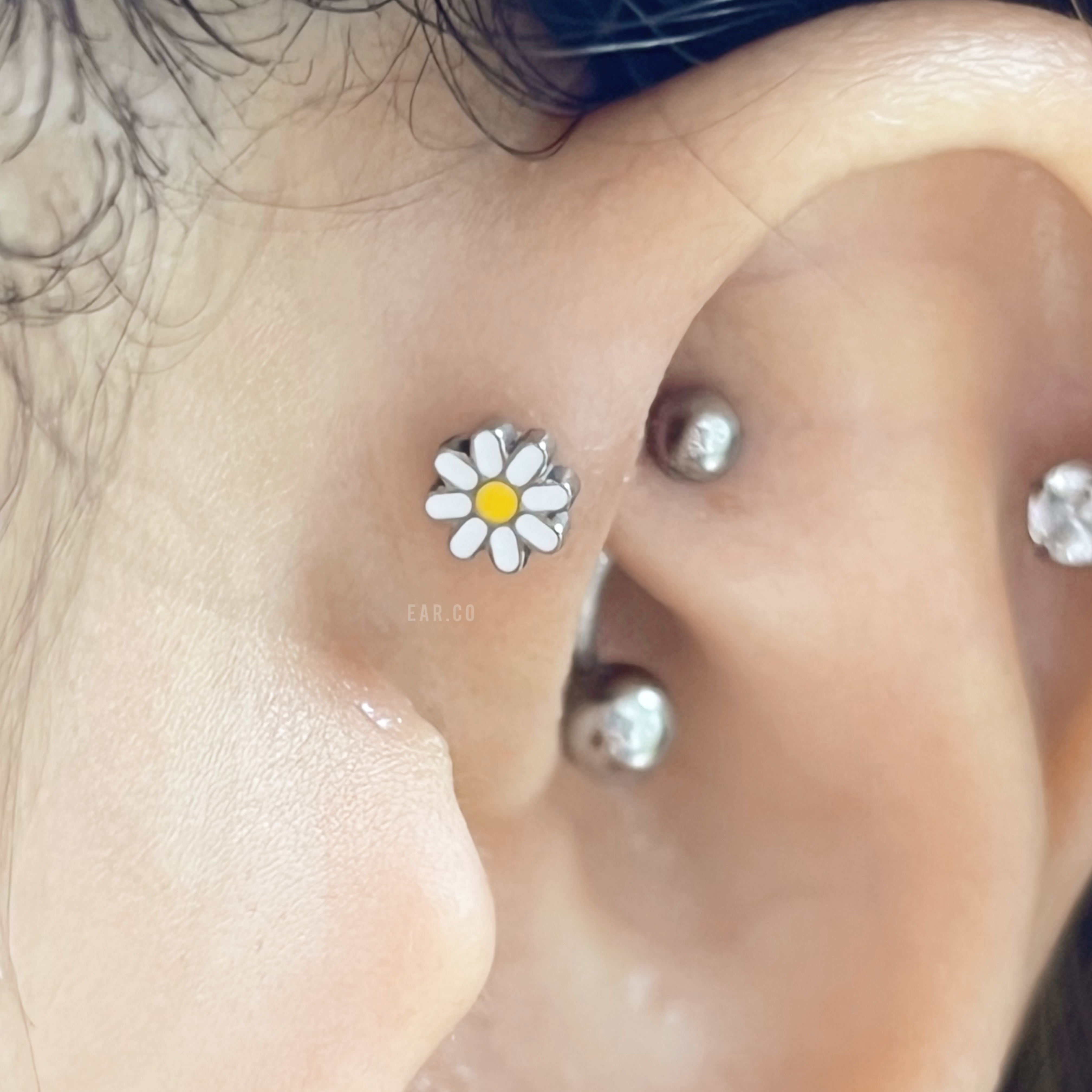 迷你小雛菊平頭耳門/耳珠/耳骨釘 [G23 Titanium]