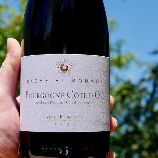 Bachelet Monnot Bourgogne Cote d'Or Blanc 2021