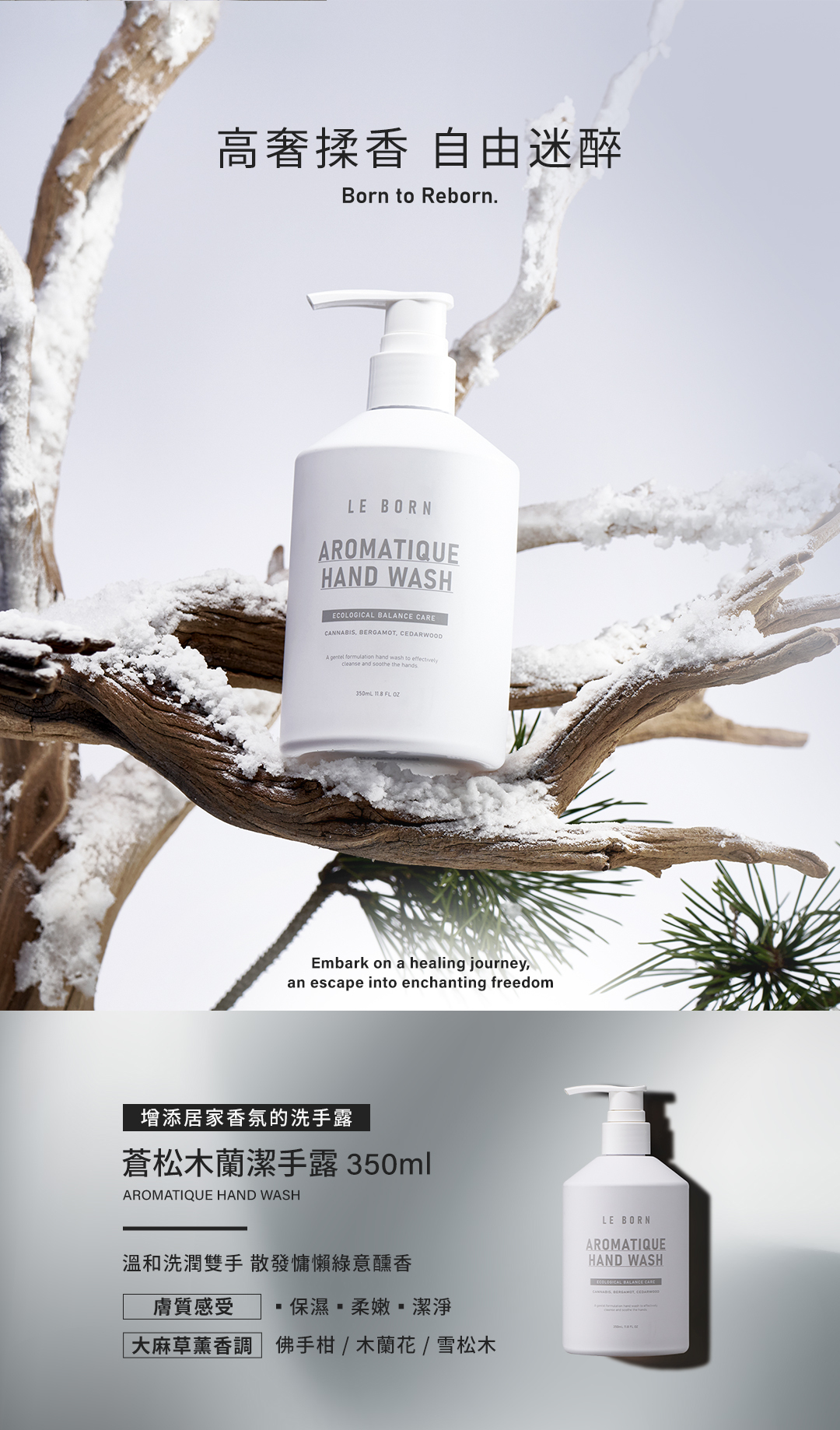 LE BORN 蒼松木攔潔手露