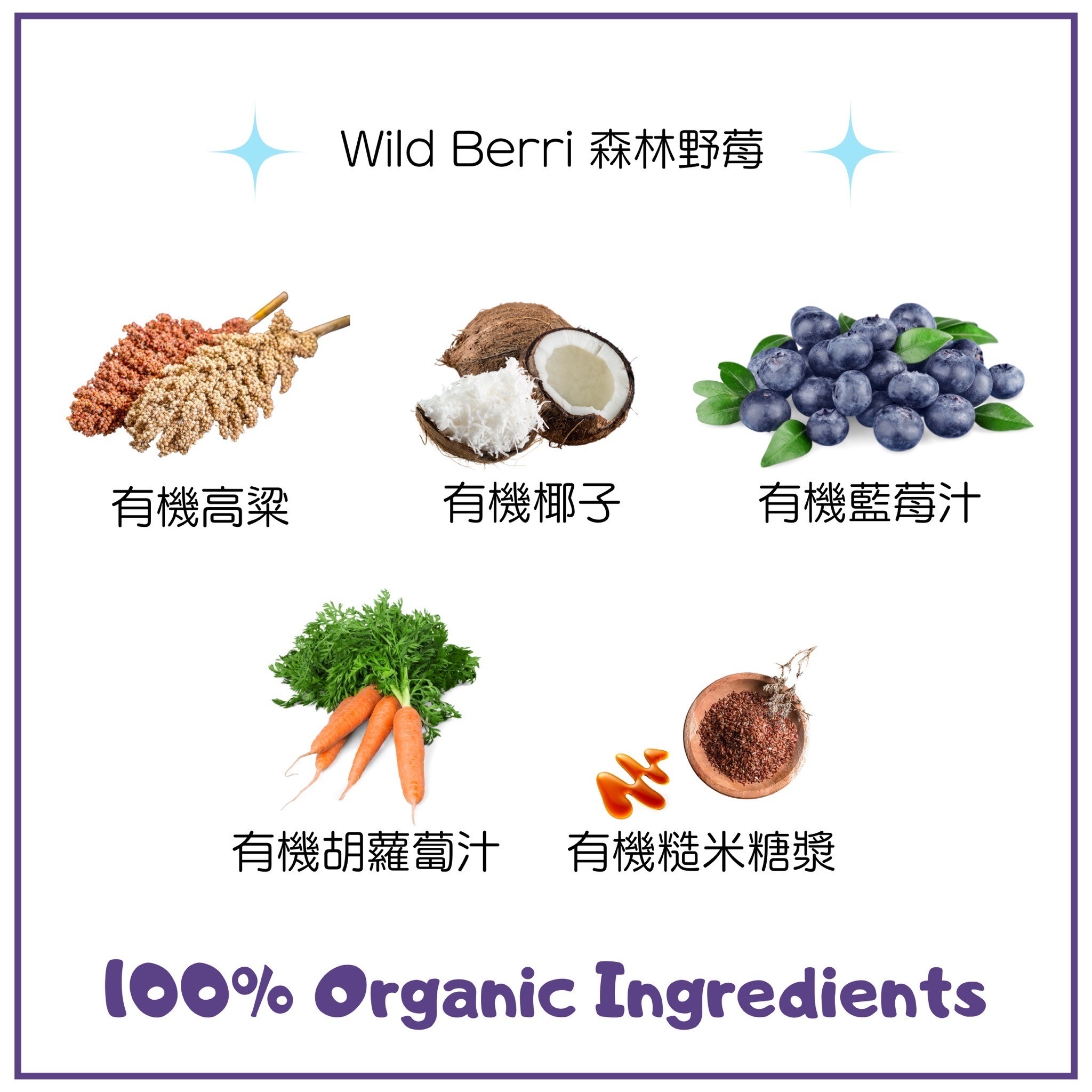 【Lord Jameson 樂健森】森林野莓能量泡芙(狗狗專用）