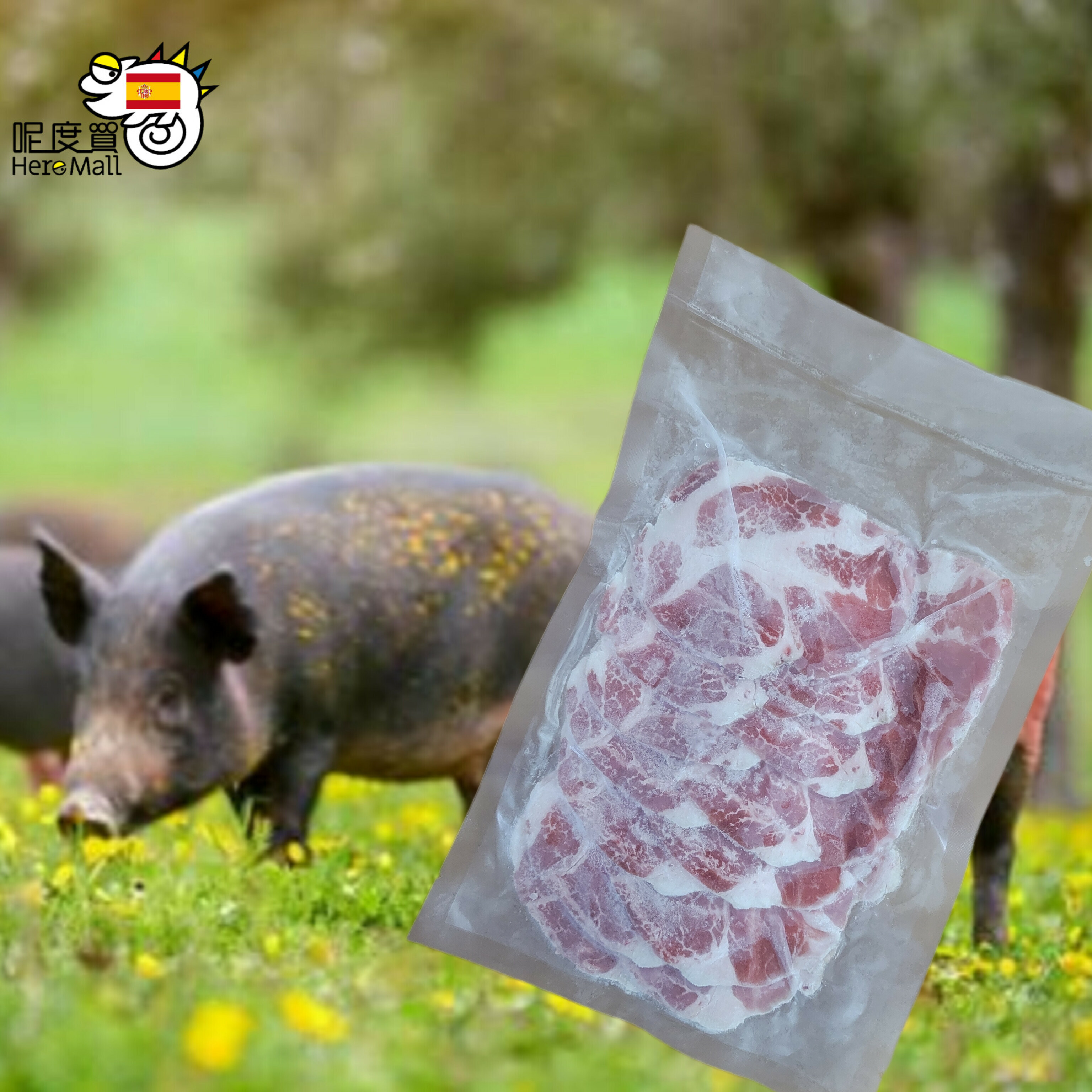 急凍西班牙伊比利亞黑毛豬爽梅肉(火鍋片) 300g