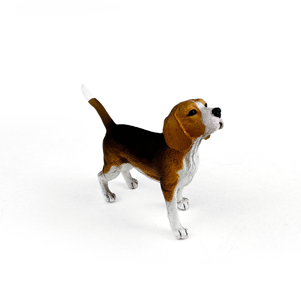 【 COLLECTA 】米格魯