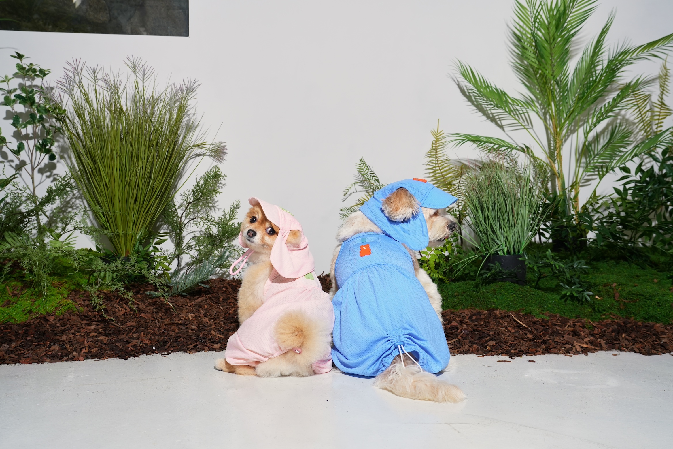 puppygallery｜果凍熊包屁衣 深藍