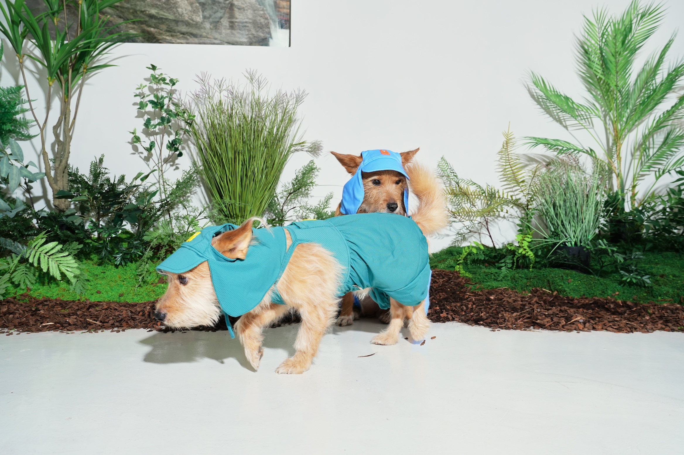 puppygallery｜果凍熊包屁衣 深綠