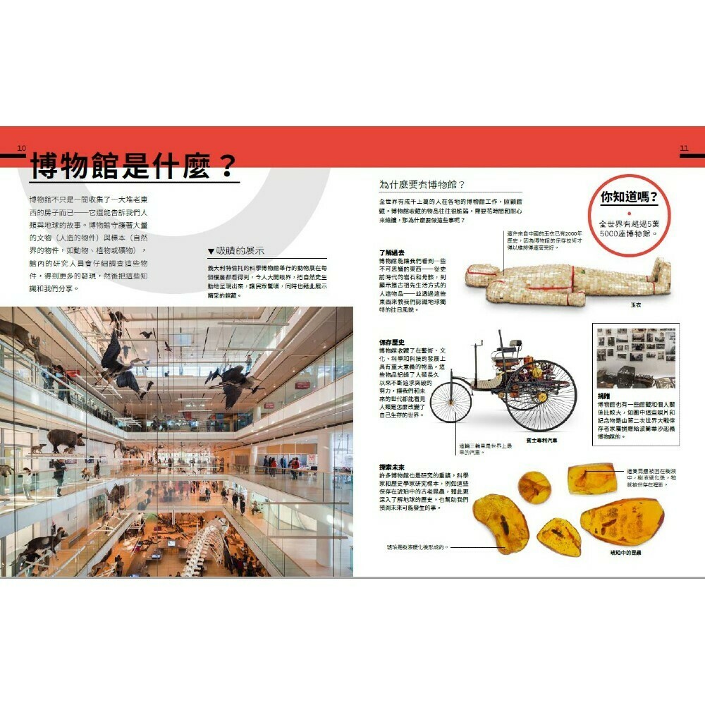 博物館密室大公開：打開後臺的神祕大門，走進展廳背後的驚奇世界_DK出版社