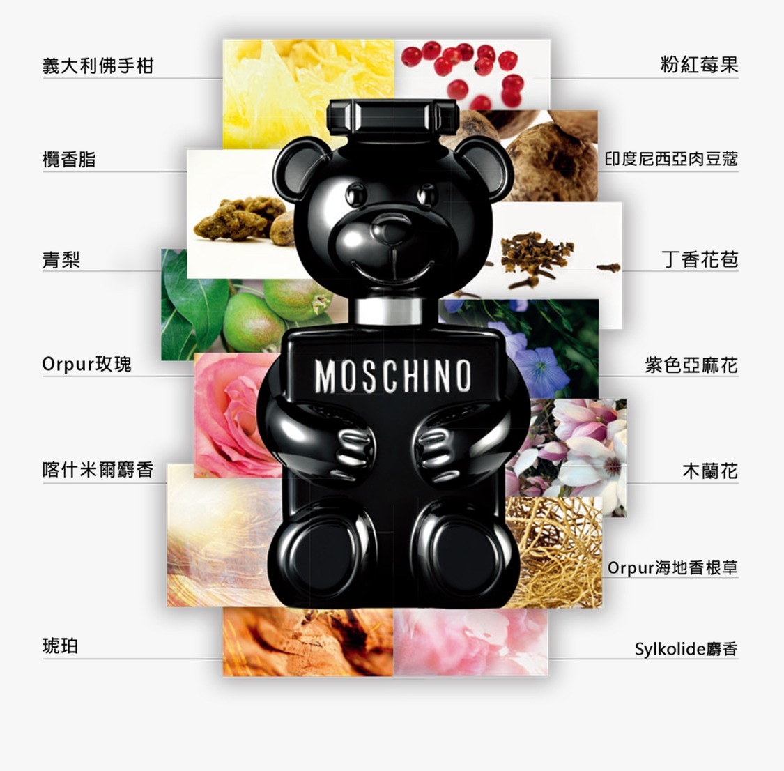 Moschino Toy Boy 熊男友 淡香水5ML - 免稅貨