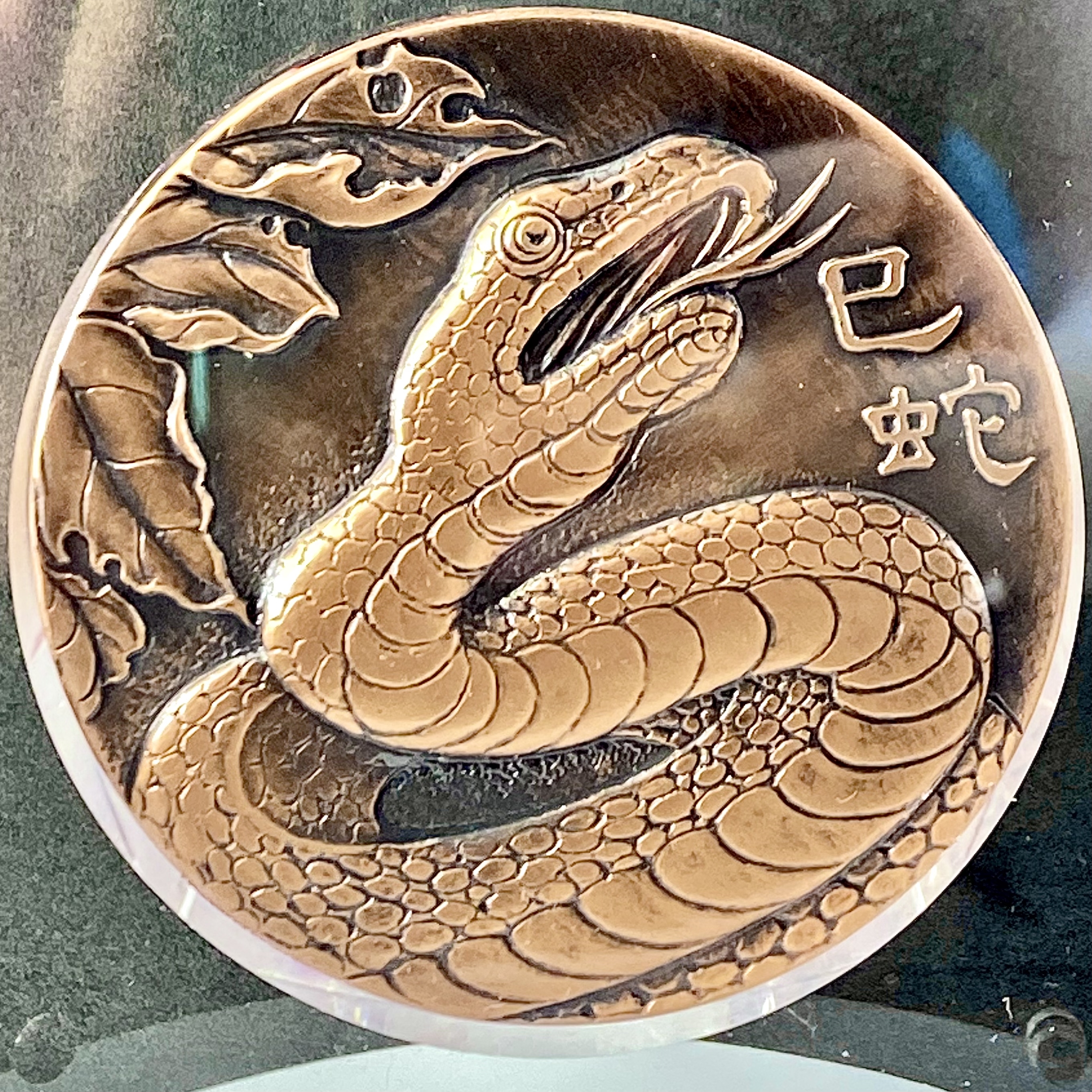 台灣蛇來運轉大銅章