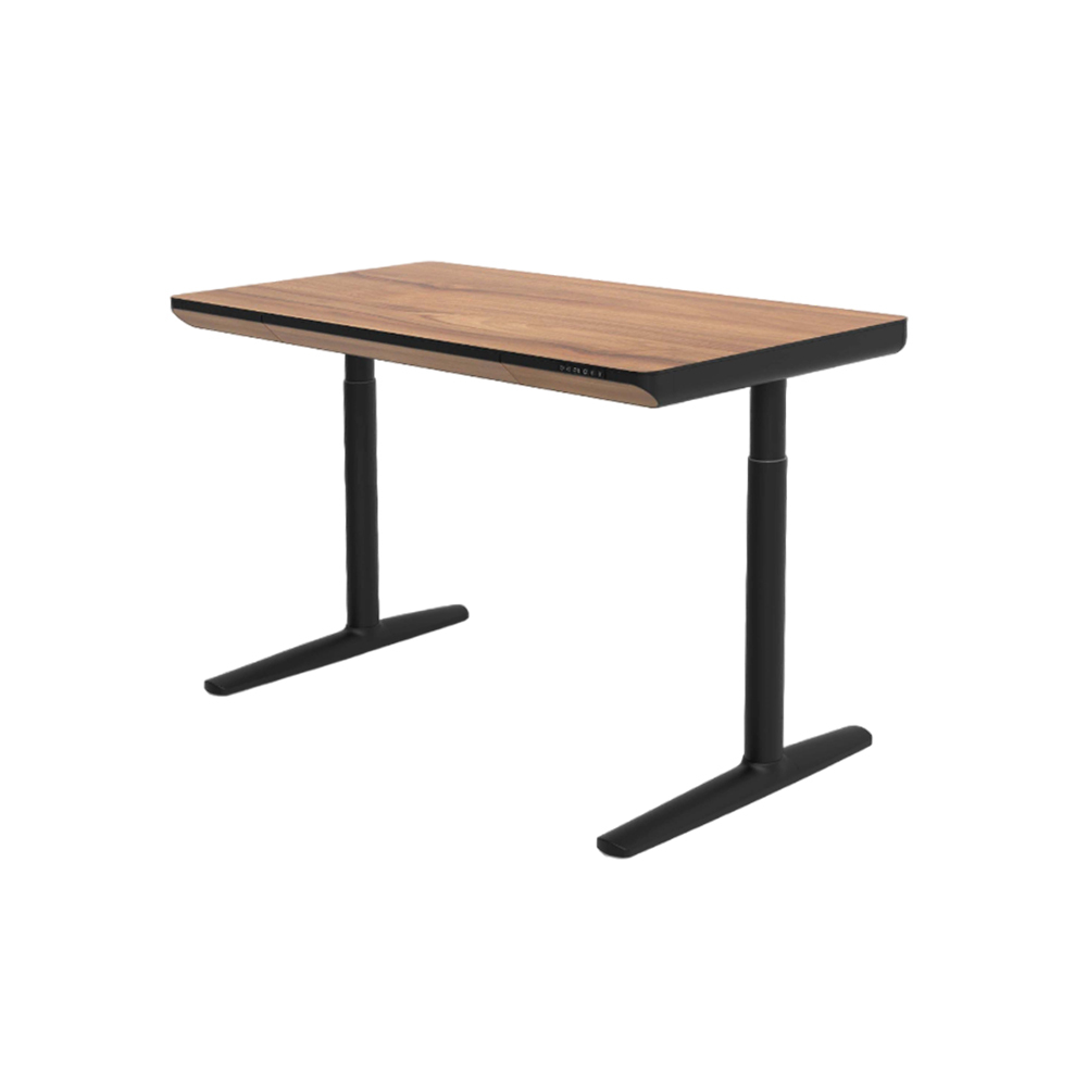 【出清特賣送安裝】ErgoNeck 健康護頸升降桌