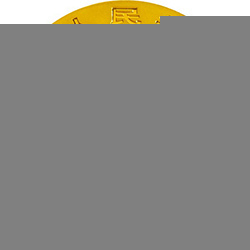 2014版熊貓金銀紀念幣1-10盎司圓形金質紀念幣