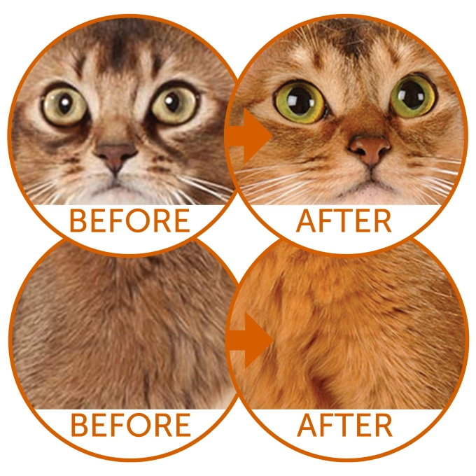 Nature's Protection Cat Dry Food - Red Cats 1.5kg