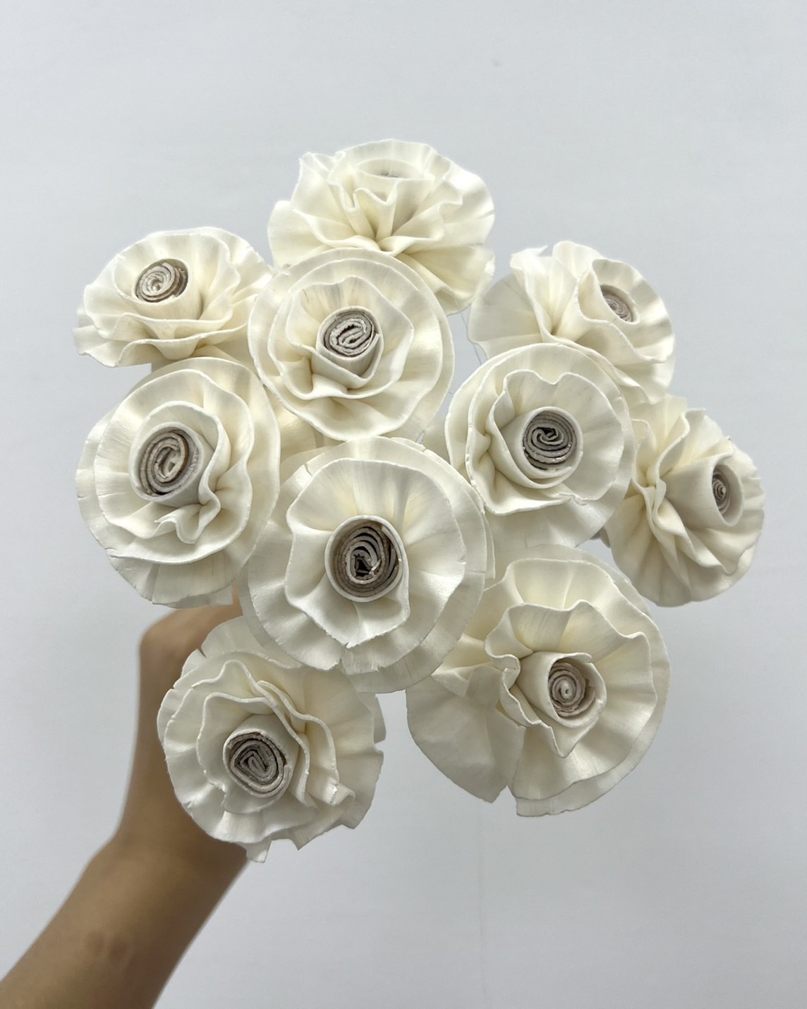 泰國索拉花 圓瓣山茶花 6CM <十支一把> (高品質)