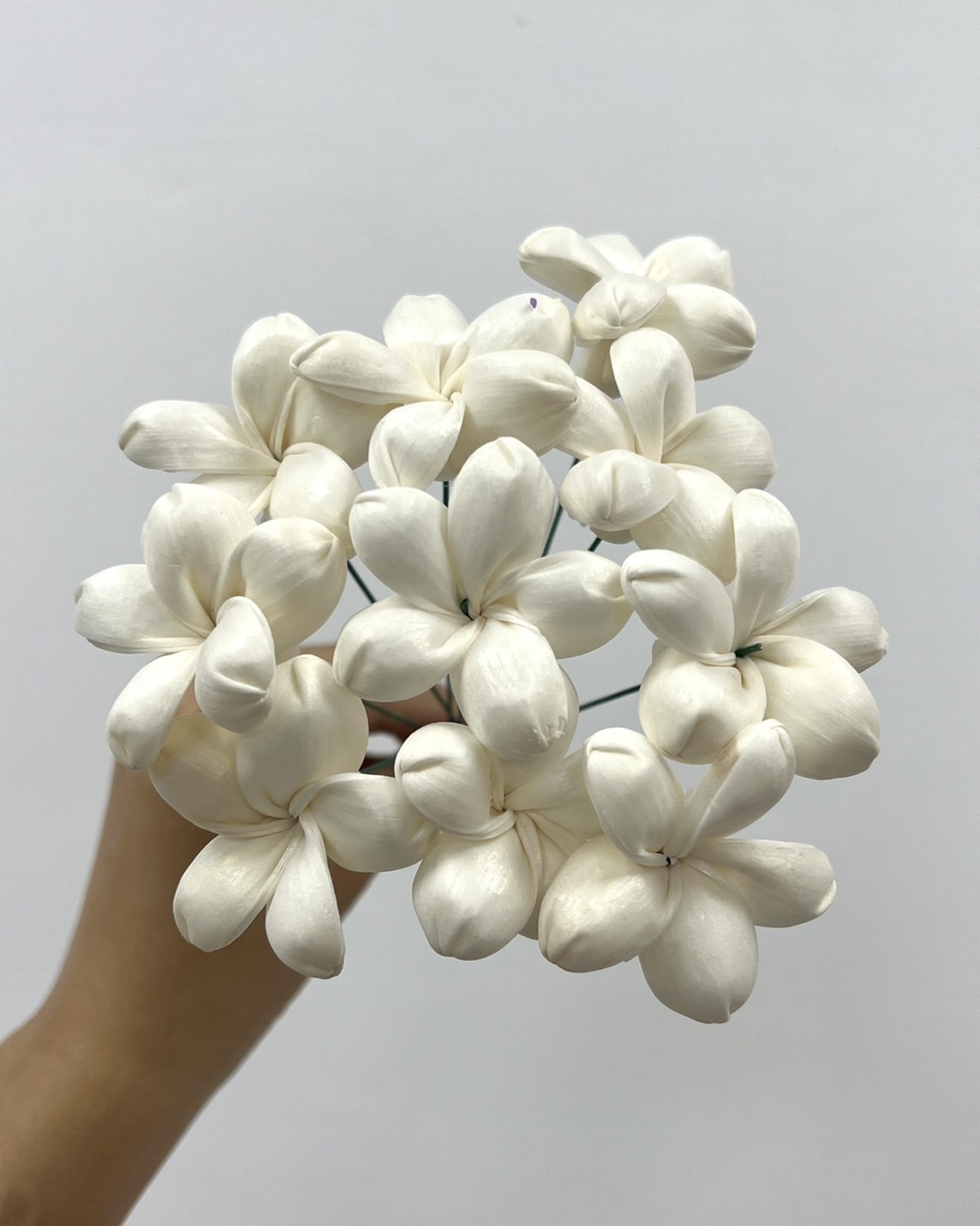 泰國索拉花 茉莉花 5CM <十支一把> (高品質)