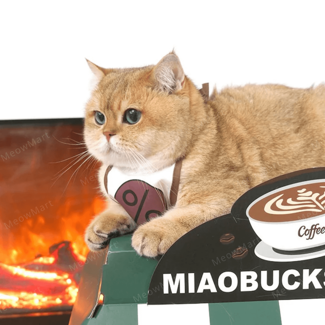 喵巴克咖啡貓抓板貓屋