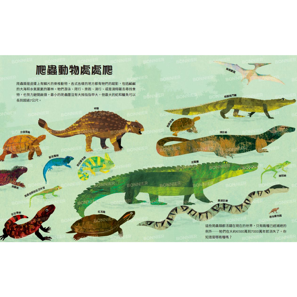 好多好多的爬蟲_卡蜜拉．德．拉．碧朵耶