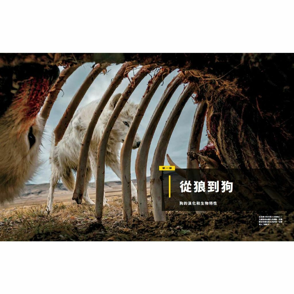 《國家地理》2023年12月特刊：汪星人的祕密生活