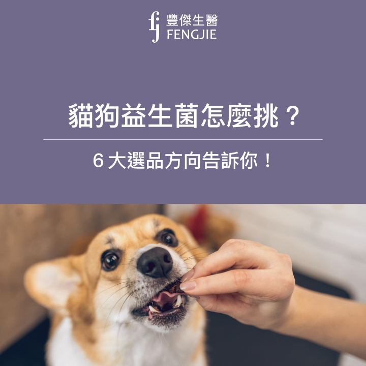 貓狗益生菌怎麼挑？營養師告訴你6大挑選注意事項
