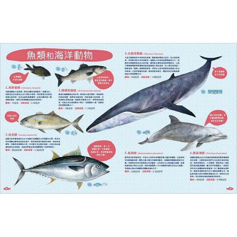 世界上有哪些魚？魚類、海洋動物與牠們生活的大海_安哲羅．莫傑塔