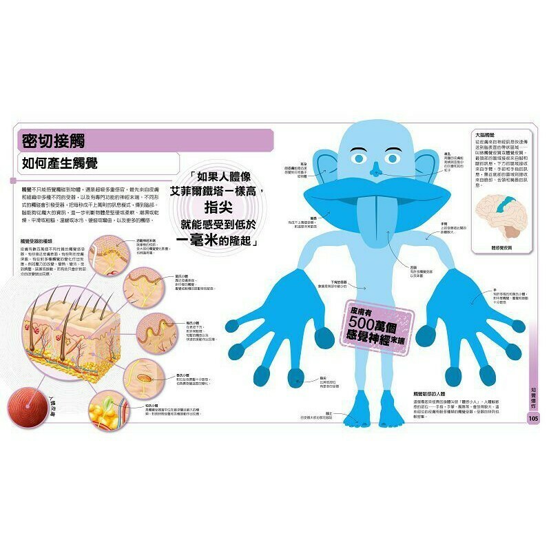 超能力人體百科：全方位剖析人體奧祕，探索人類潛能_史提夫‧帕克