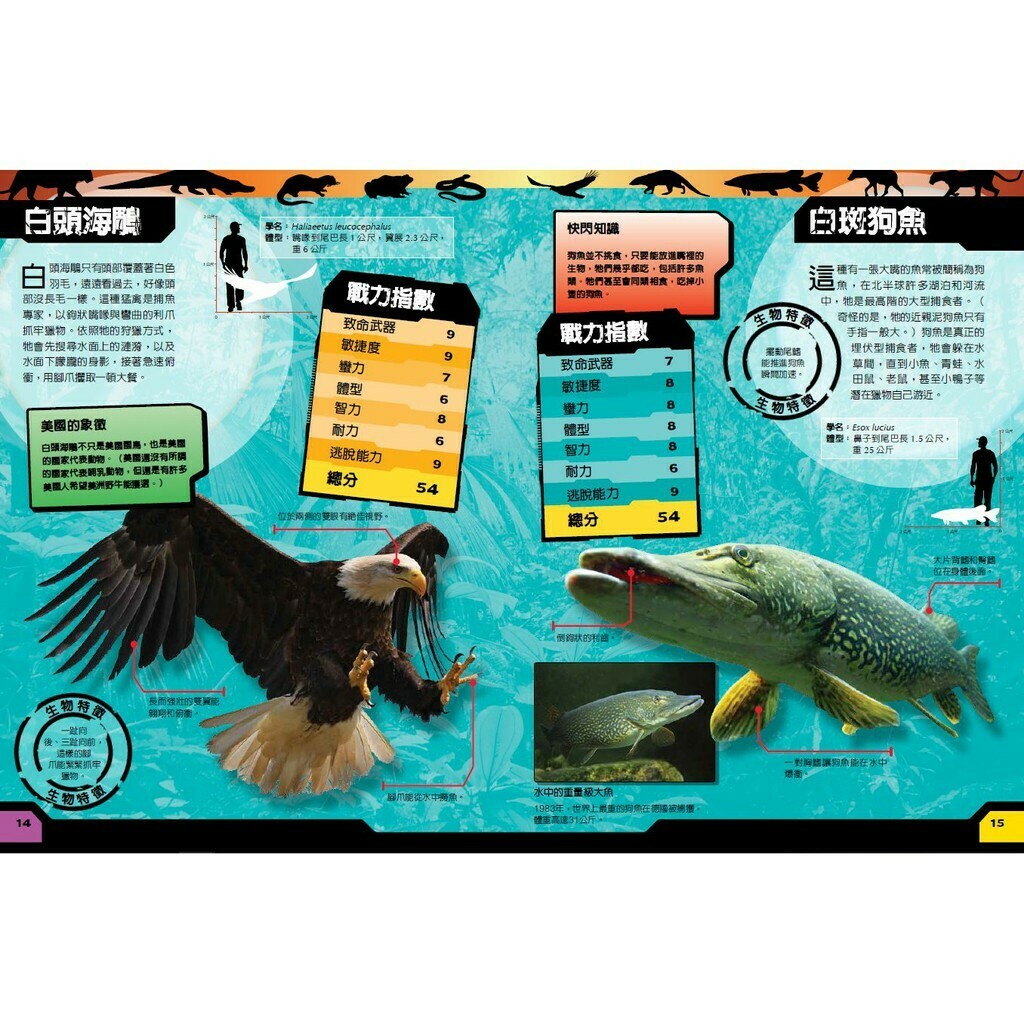 國家地理猛獸大對決：史上最凶猛的肉食動物擂臺賽_史蒂夫．帕克