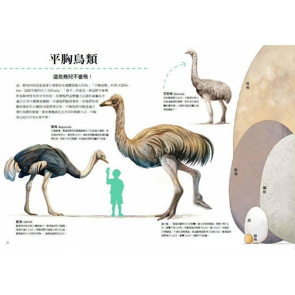 雞的祖先是霸王龍？：穿越動物的前世今生，揭開演化的祕密_博物館教育協會