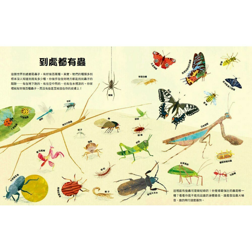 好多好多的蟲_莉莉．莫瑞