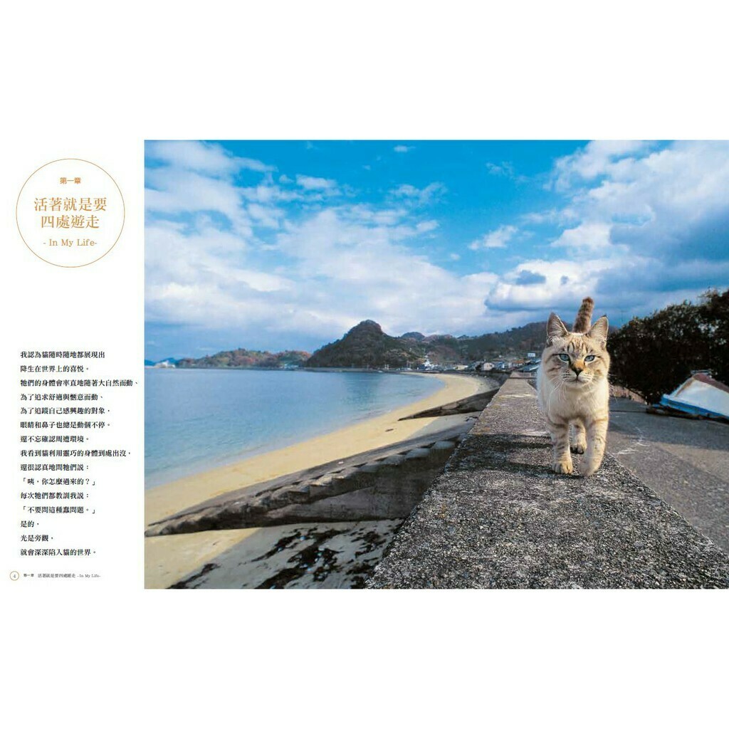 岩合光昭 貓 (日本動物攝影師岩合光昭以「貓」為主題收錄的精華作品集)_岩合光昭