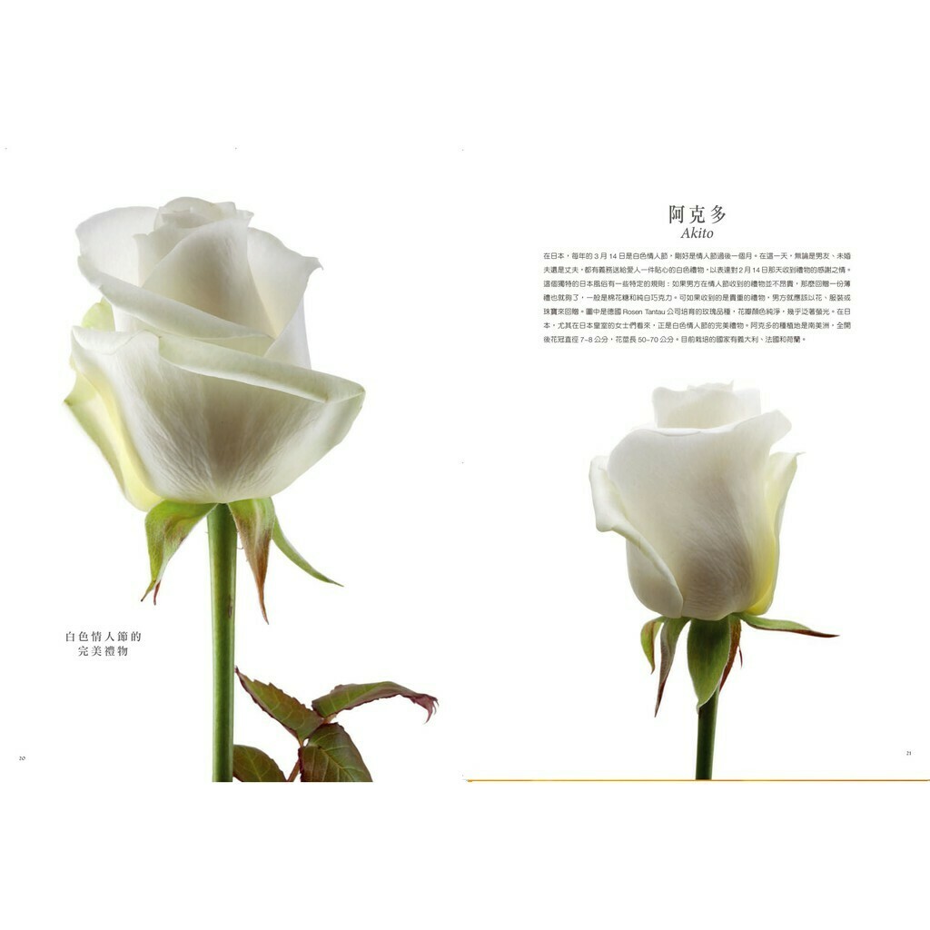 國家地理 玫瑰_娜塔莉亞．菲德里/著, 法比歐．佩特羅尼/攝影