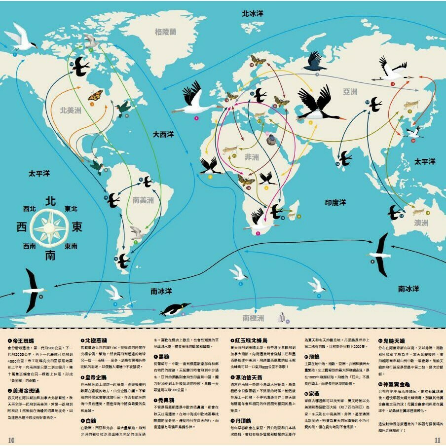 動物界的大旅行家：神奇的動物遷徙與生態地圖_瑪琪塔．史巴可瓦 等