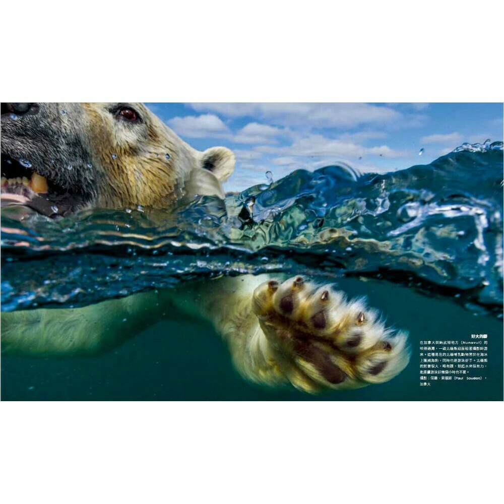 絕世瞬間：國家地理罕見奇觀攝影精選_蘇珊‧泰勒‧希區考克