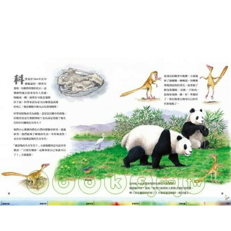 小寐龍時空大冒險:帶來一段不可思議的時空穿梭之旅！_蘇珊．巴雷特 等