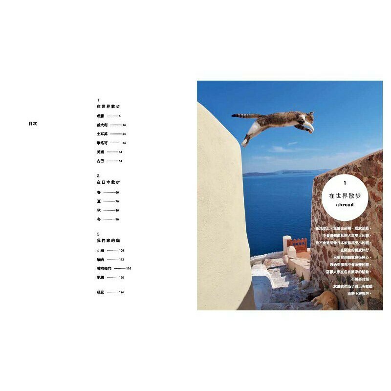 大石文化 岩合光昭 與貓散步_岩合光昭