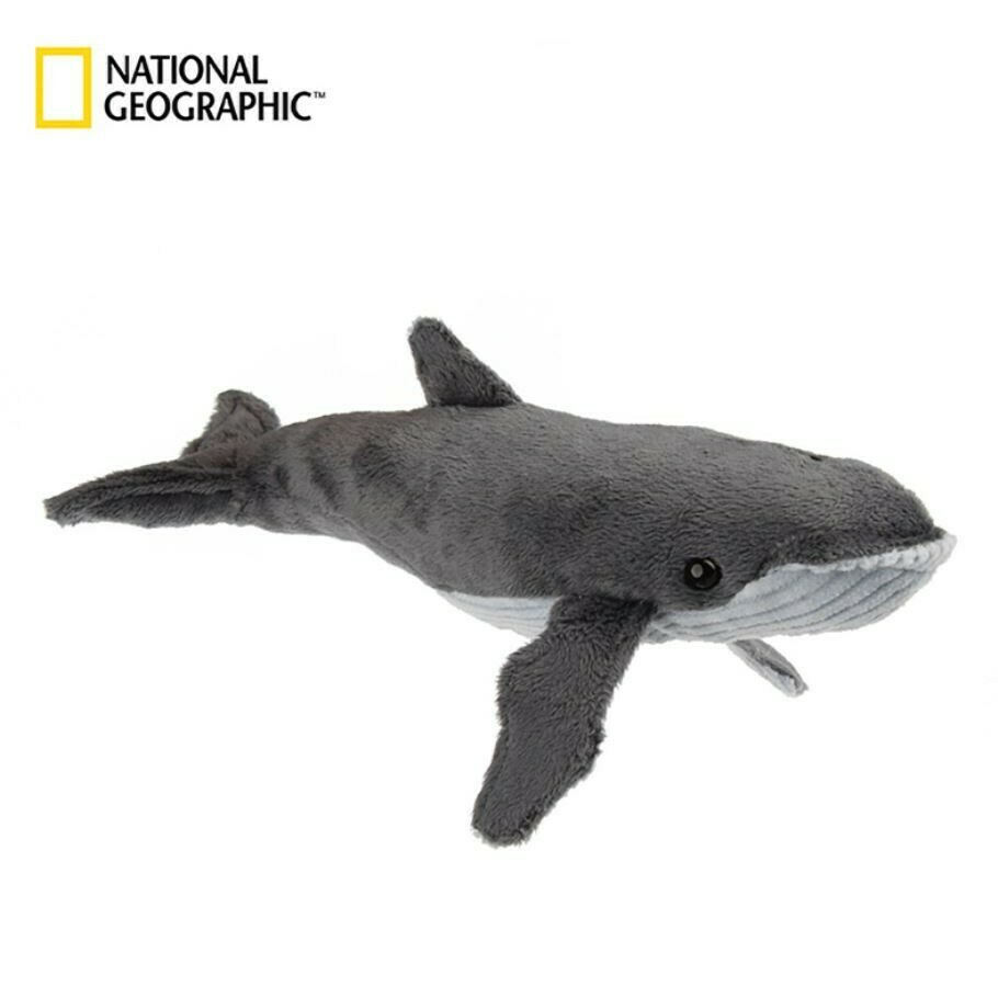 國家地理絨毛動物6吋系列—海洋系列【座頭鯨】