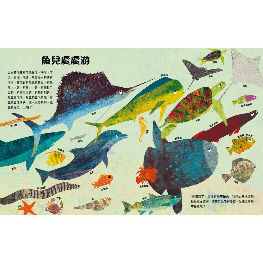 好多好多的魚:世上所有怪異且奇妙的魚類無所不包_凱蒂．霍華斯