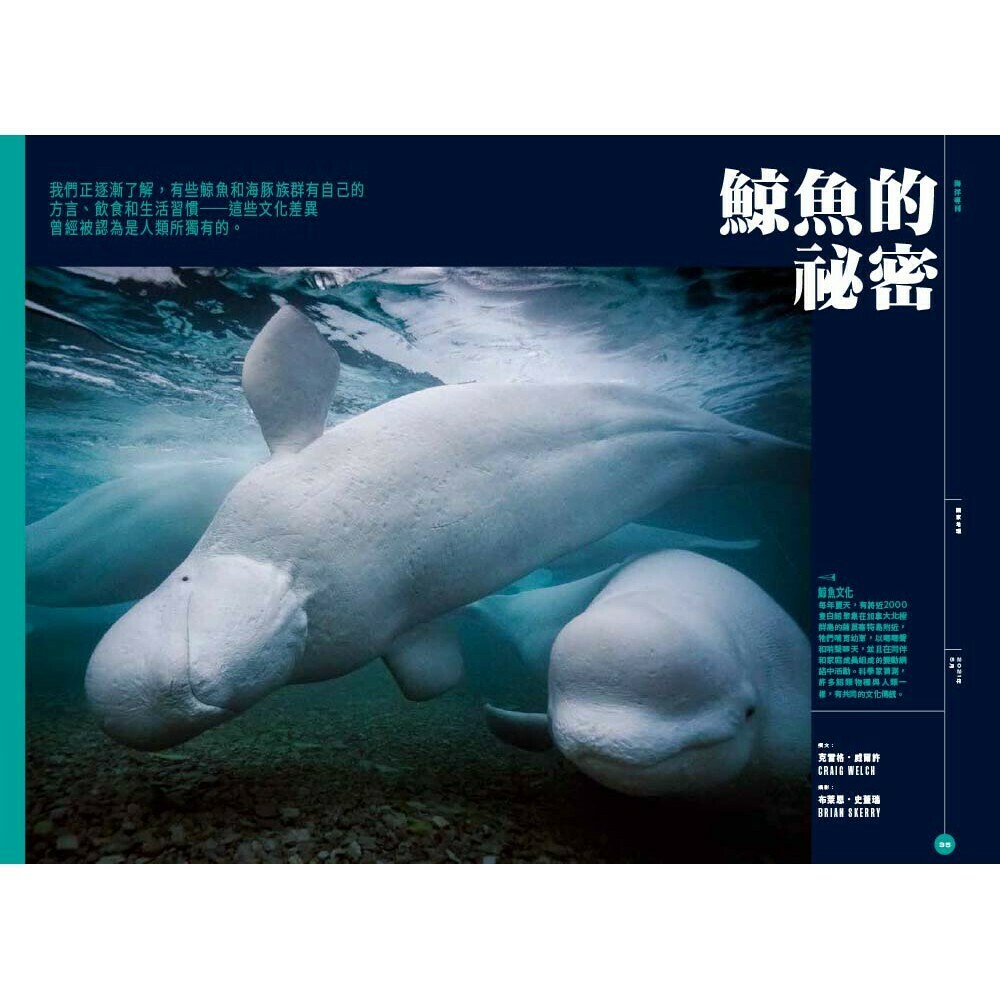 《國家地理》雜誌234期2021年5月號：海洋專刊-鯨族的祕密
