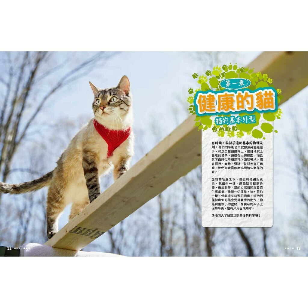 貓咪科學大揭祕：22個實驗遊戲看穿你家喵星人_朱蒂·惠勒－托本