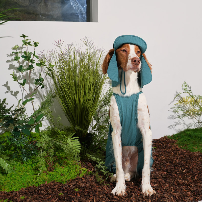 puppygallery｜果凍熊涼感背心 深綠