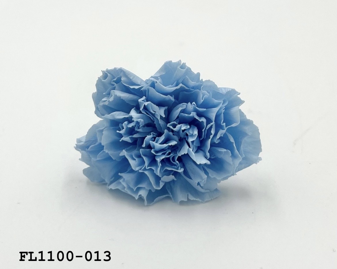 日本不凋中輪康乃馨 FL1100-013