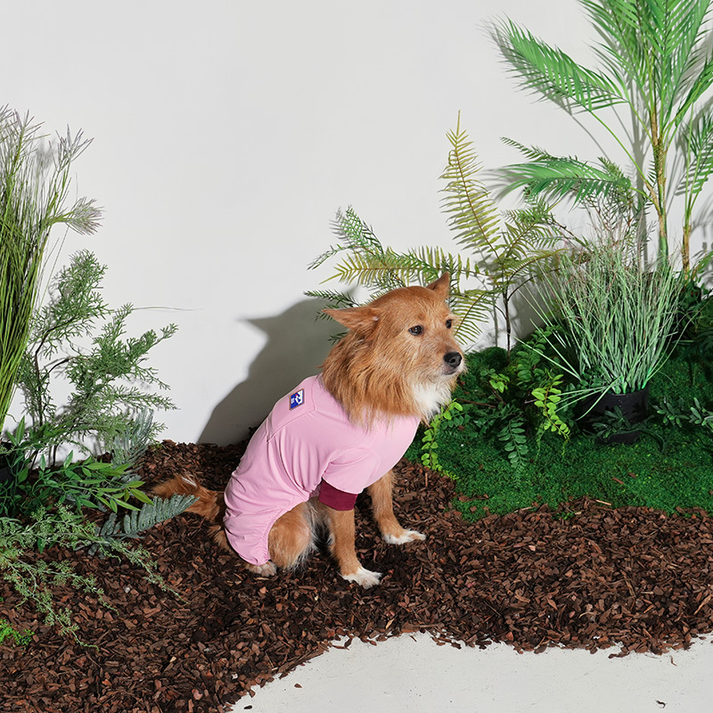 puppygallery｜外出涼感四腳衣 暗粉