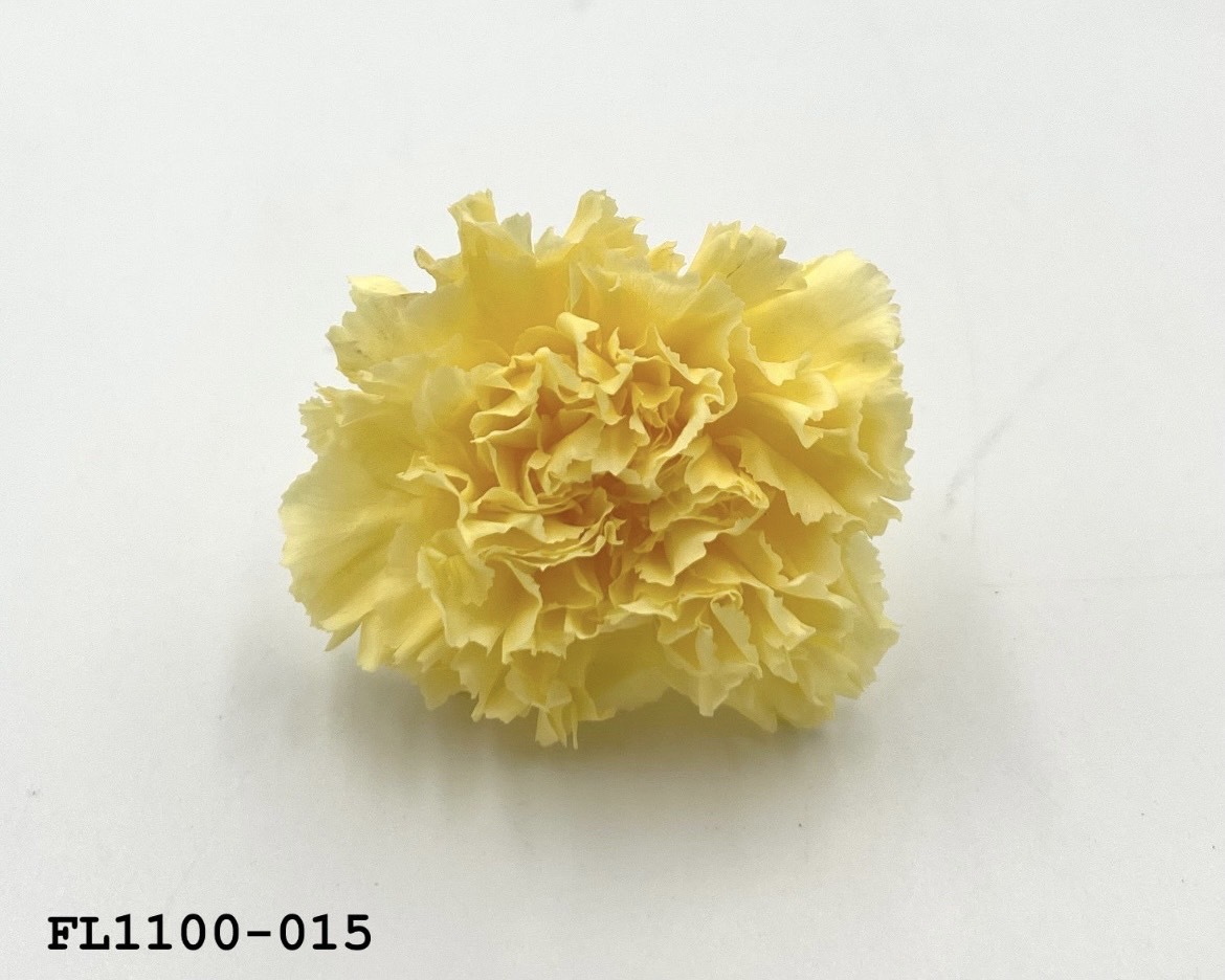 日本不凋中輪康乃馨 FL1100-015