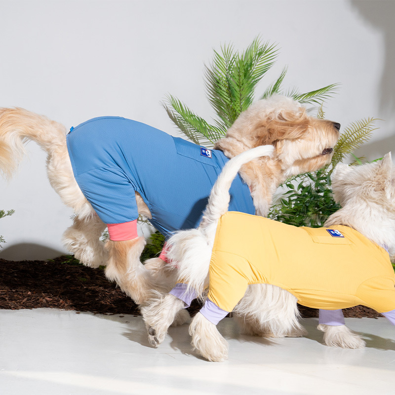 puppygallery｜外出涼感四腳衣 暗藍