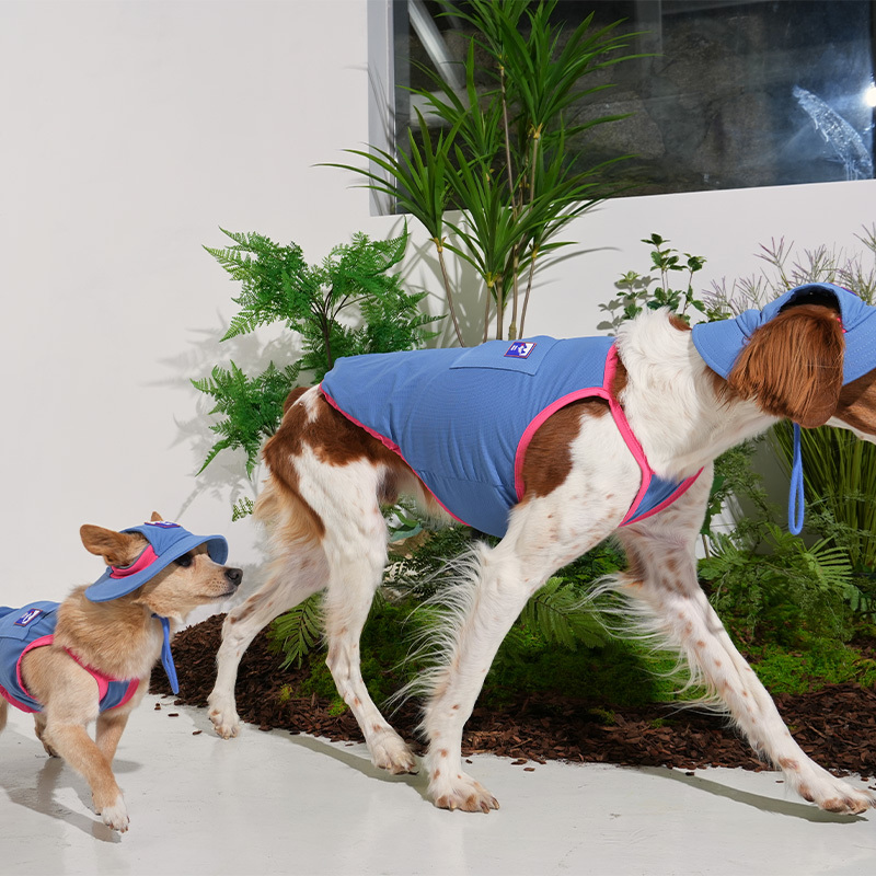 puppygallery｜ 外出涼感背心 暗藍