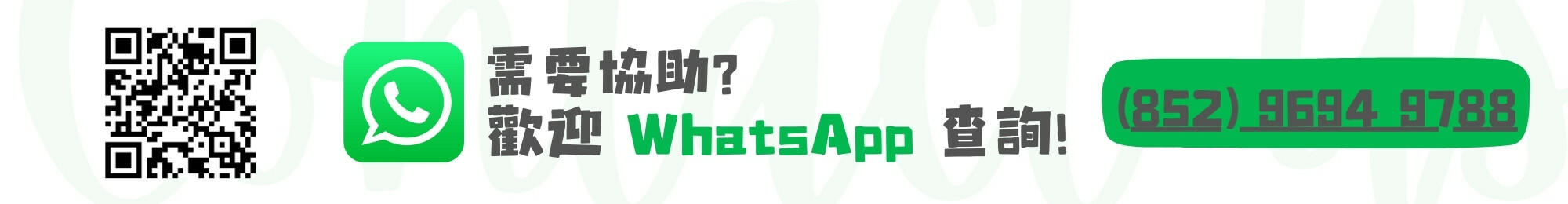 whatsapp 聯絡我們