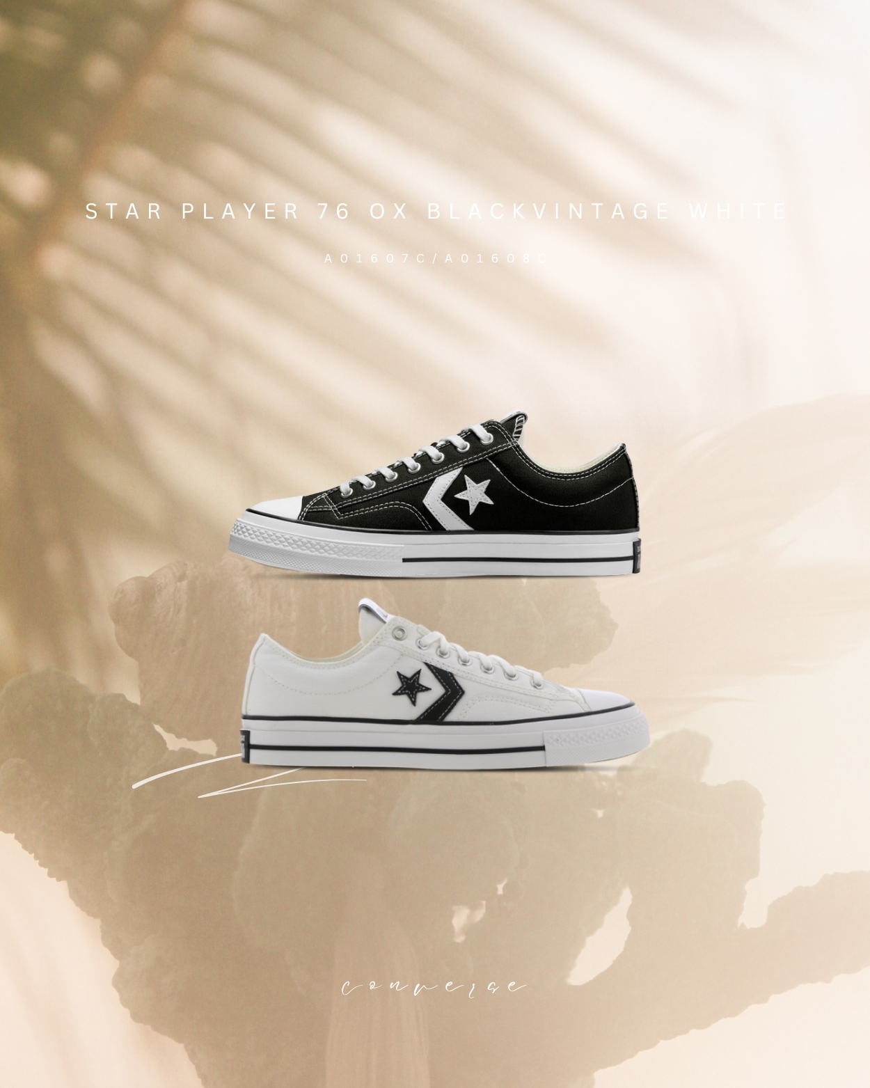 KTQ STORE ‧ CONVERSE Star Player 76 Premium 帆布鞋 (白) A01608C (黑) A01607C