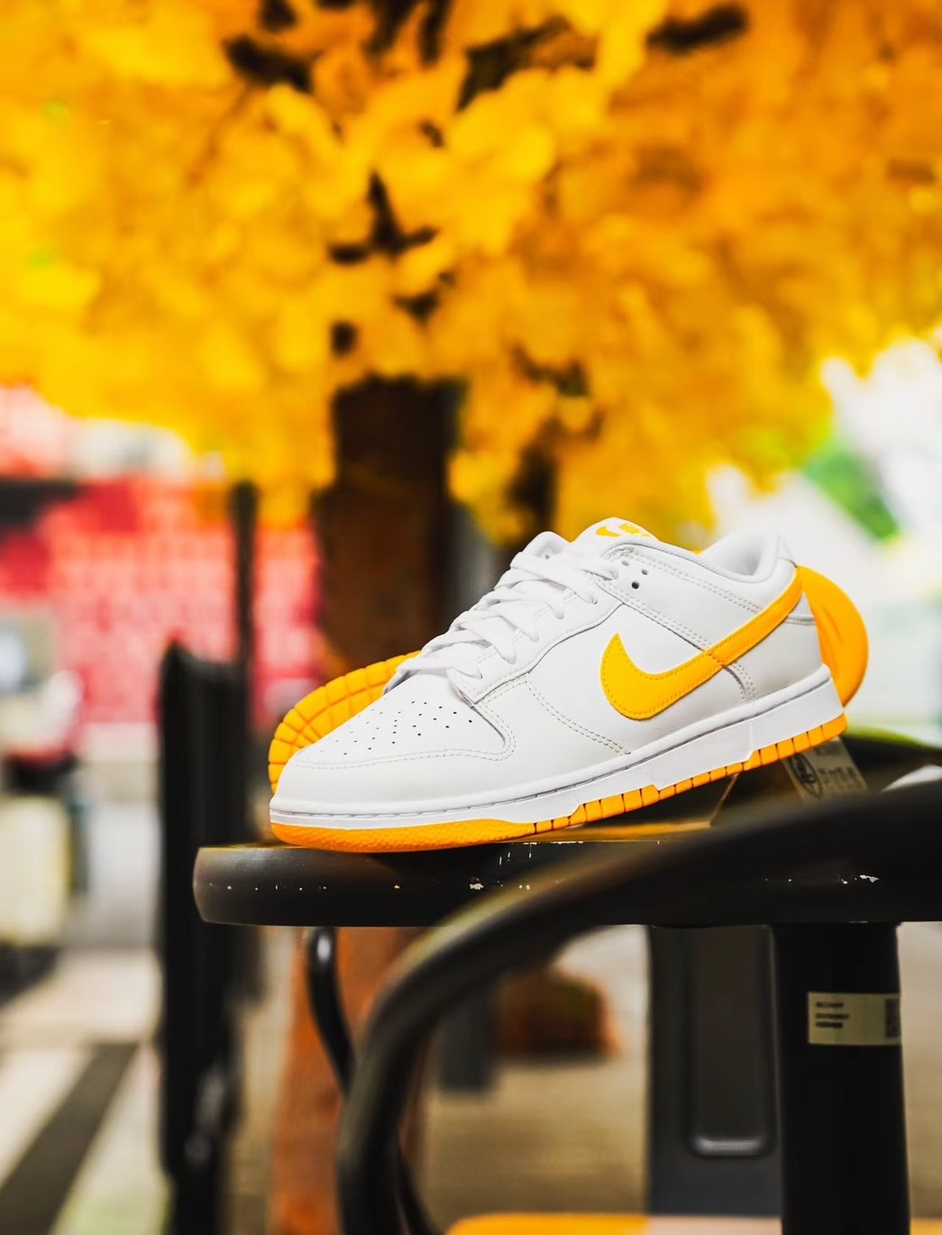 KTQ STORE ‧ Nike Dunk Low University Gold 白黃 男女  DV0831-110
